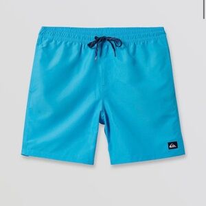 Quiksilver Everyday Solid Swim Trunks